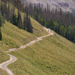 Dusty Lizard Campout Ouray