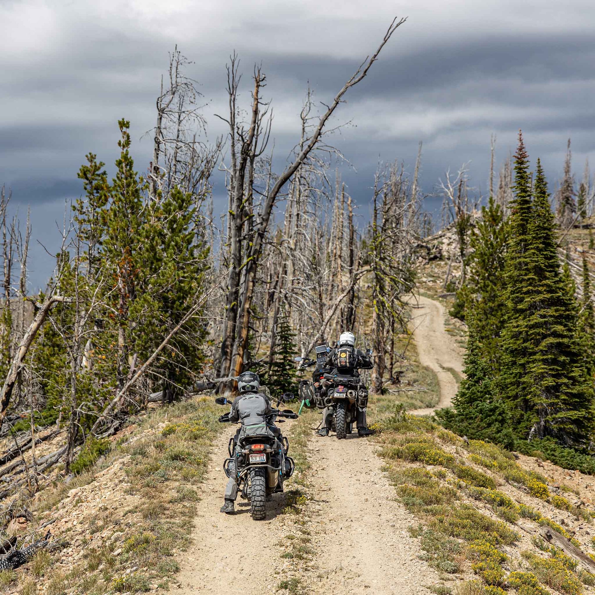 Mosko Moto Ticket Dusty Lizard Campout Sawtooths